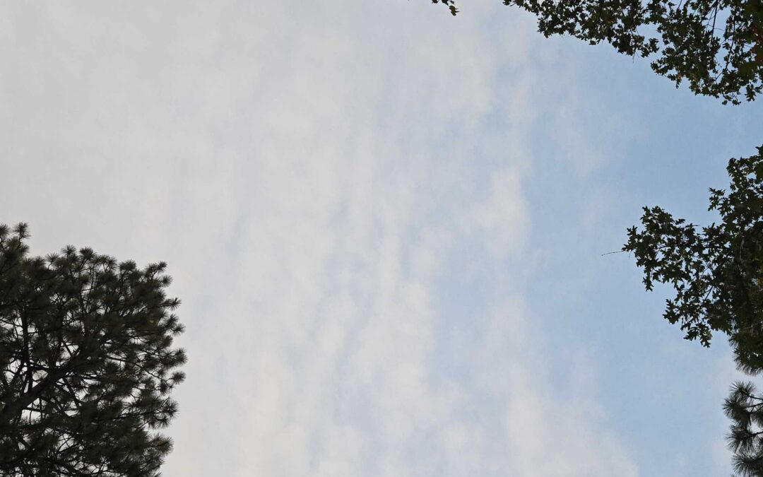 Sky Aug 28 2026
