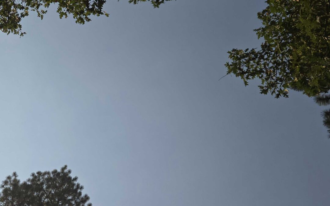 Sky Aug 30 2026