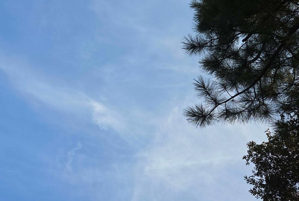 Sky Aug 31 2026