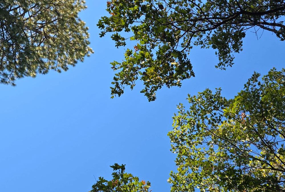 Sky Sep 07 2026