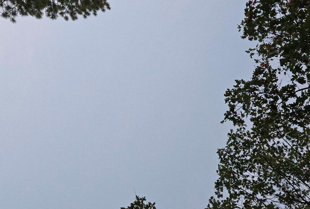 Sky Sep 08 2026