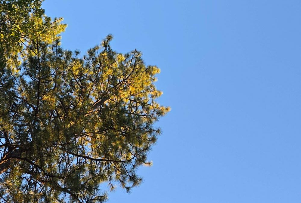 Sky Sep 11 2026